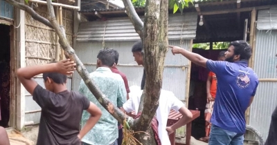 স্কুল থেকে ফিরেই গোয়ালঘরে, গরুর গুঁতায় শিক্ষিকার মৃত্যু